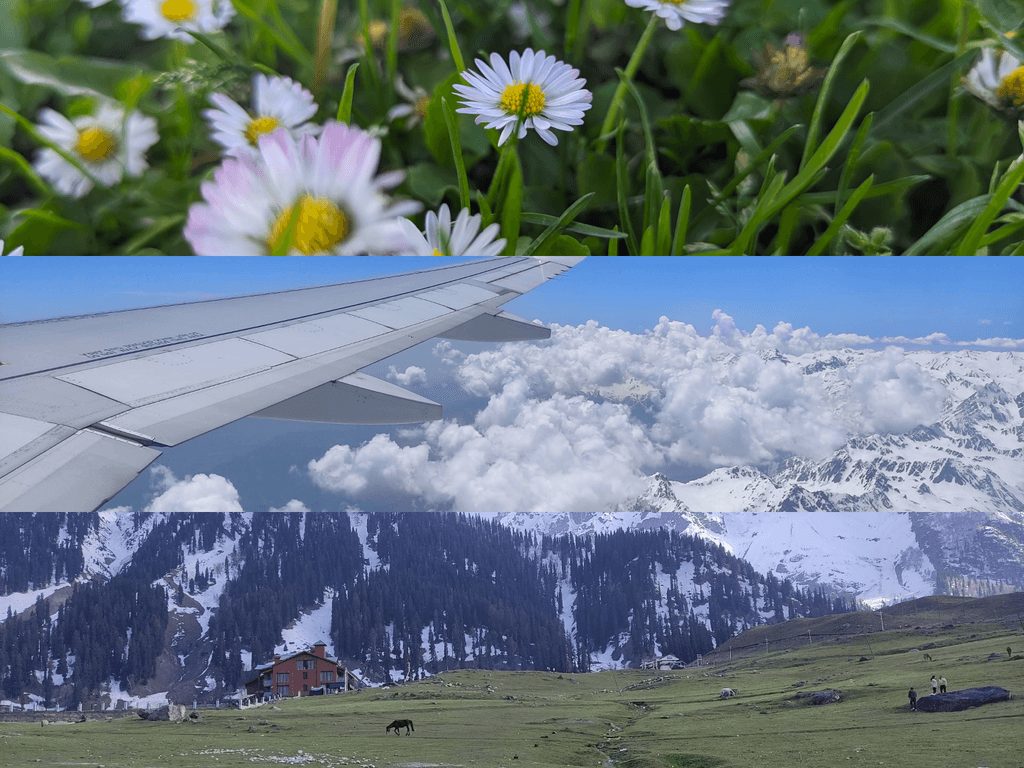 Collage of 2024 Travel Pictures